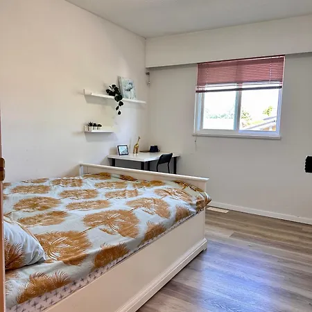 Sunflower House-3